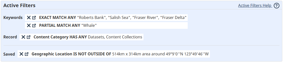 Image of the Active Filters Block with an example.